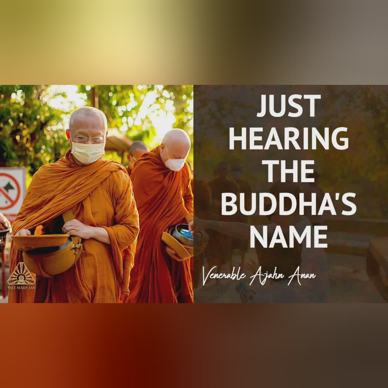 A Special Day | Ajahn Anan | 25 Apr 2020