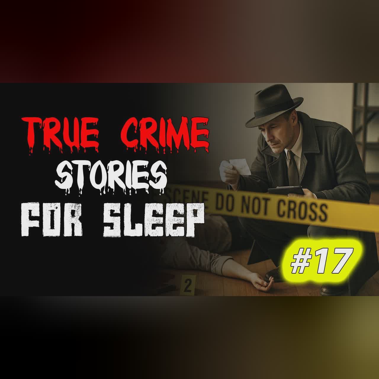 True crime Stories Told to the Sound of Rain | Relax and Fall Asleep Quickly Vol. 17 l Black Screen
