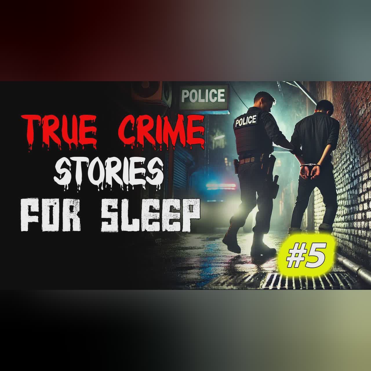 True crime Stories Told to the Sound of Rain | Relax and Fall Asleep Quickly Vol. 5 l Black Screen