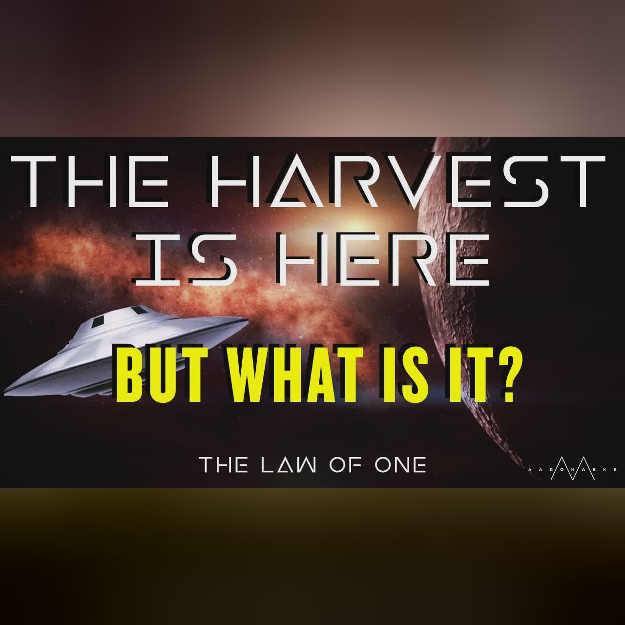 The Basics of Spiritual Balancing (The Law of One) // Scivana Live
