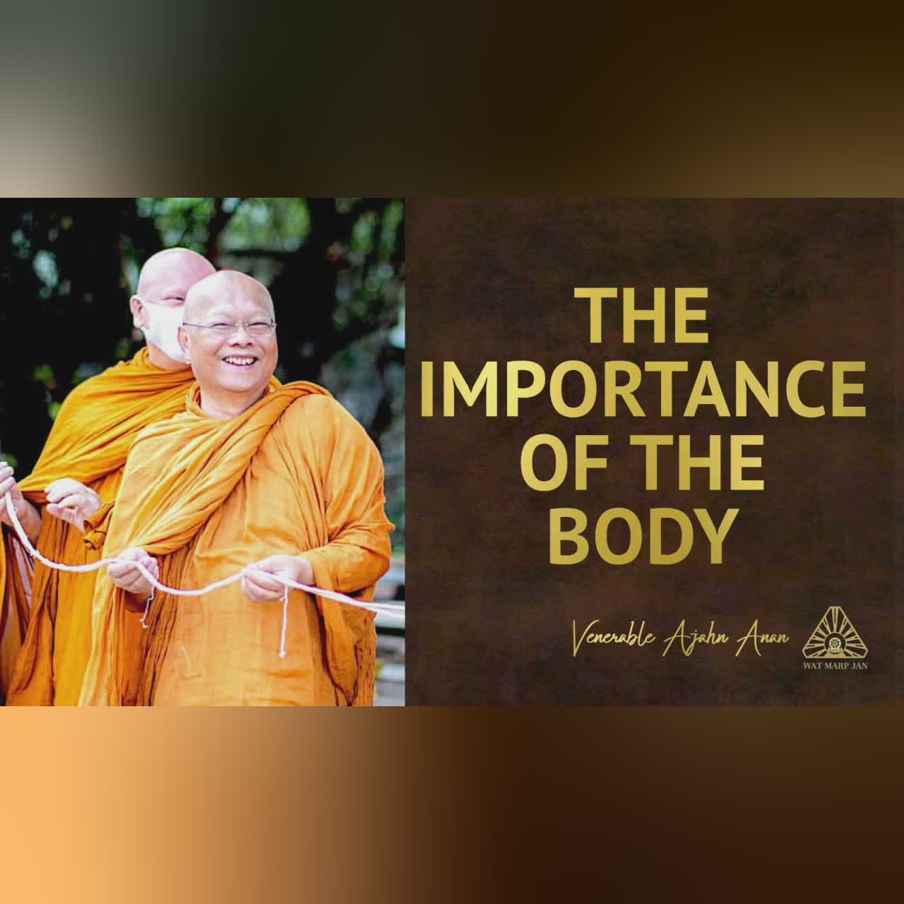 The Importance of the Body | Ajahn Anan | 12 Feb 2022