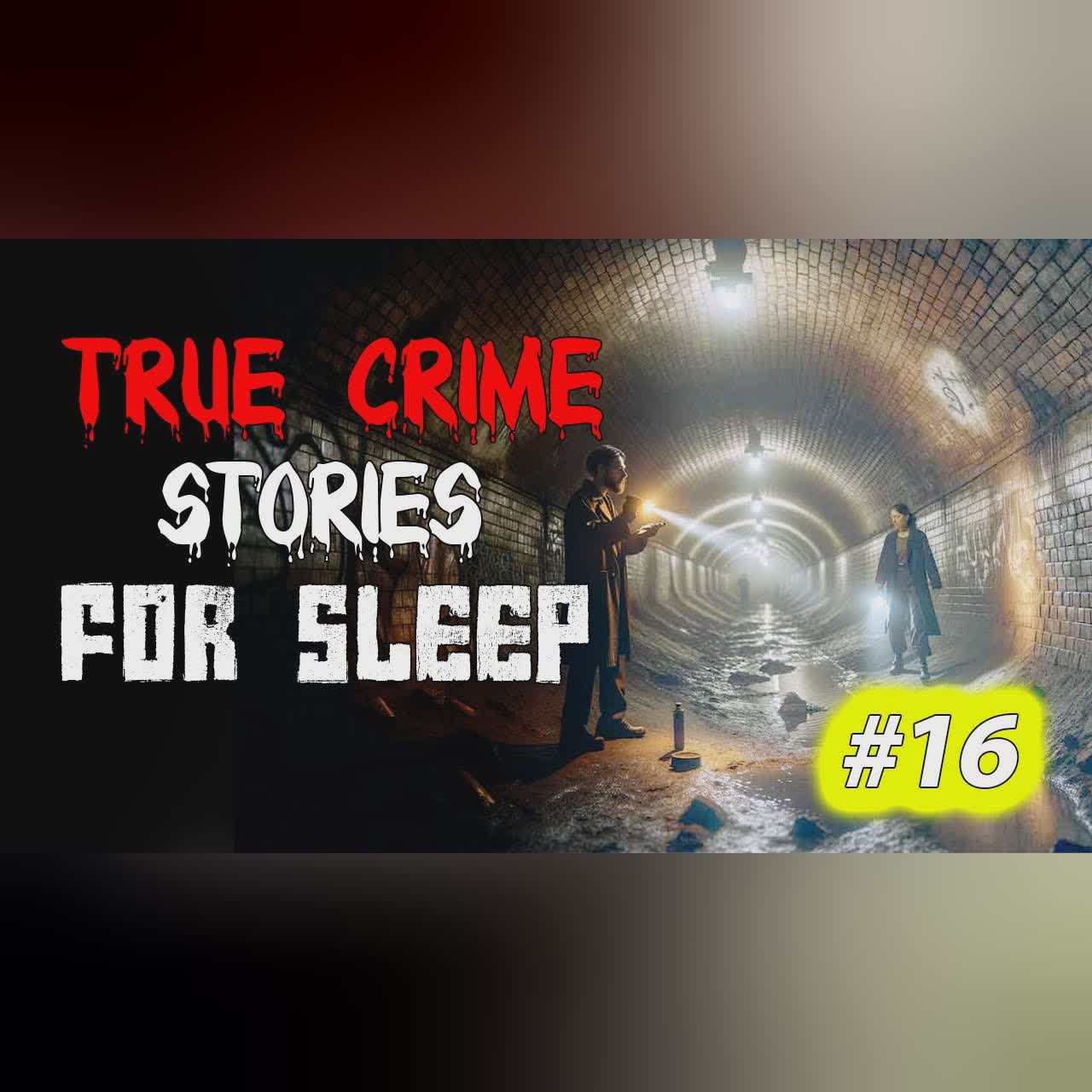 True crime Stories Told to the Sound of Rain | Relax and Fall Asleep Quickly Vol. 16 l Black Screen