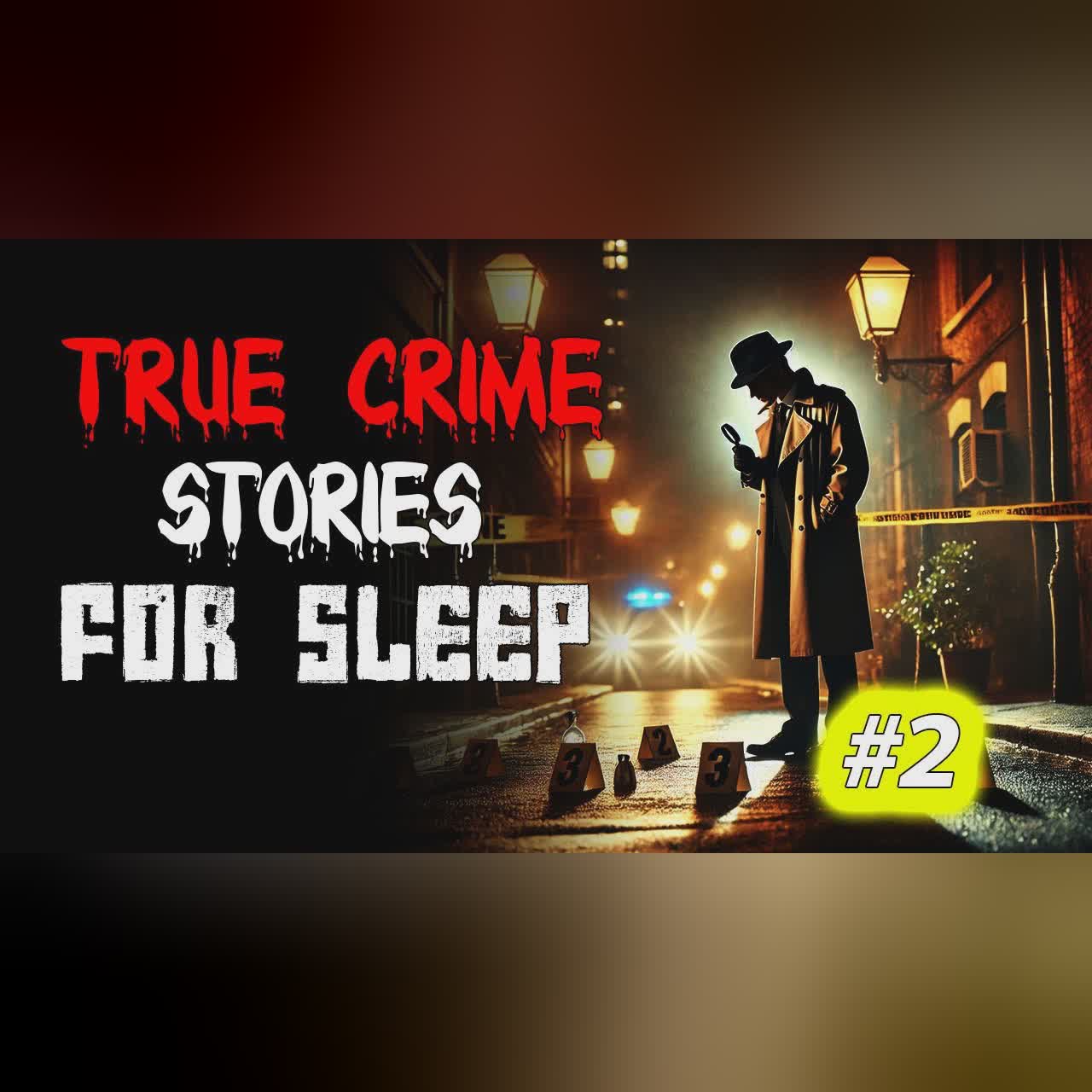 True crime Stories Told to the Sound of Rain | Relax and Fall Asleep Quickly Vol. 2 l Black Screen