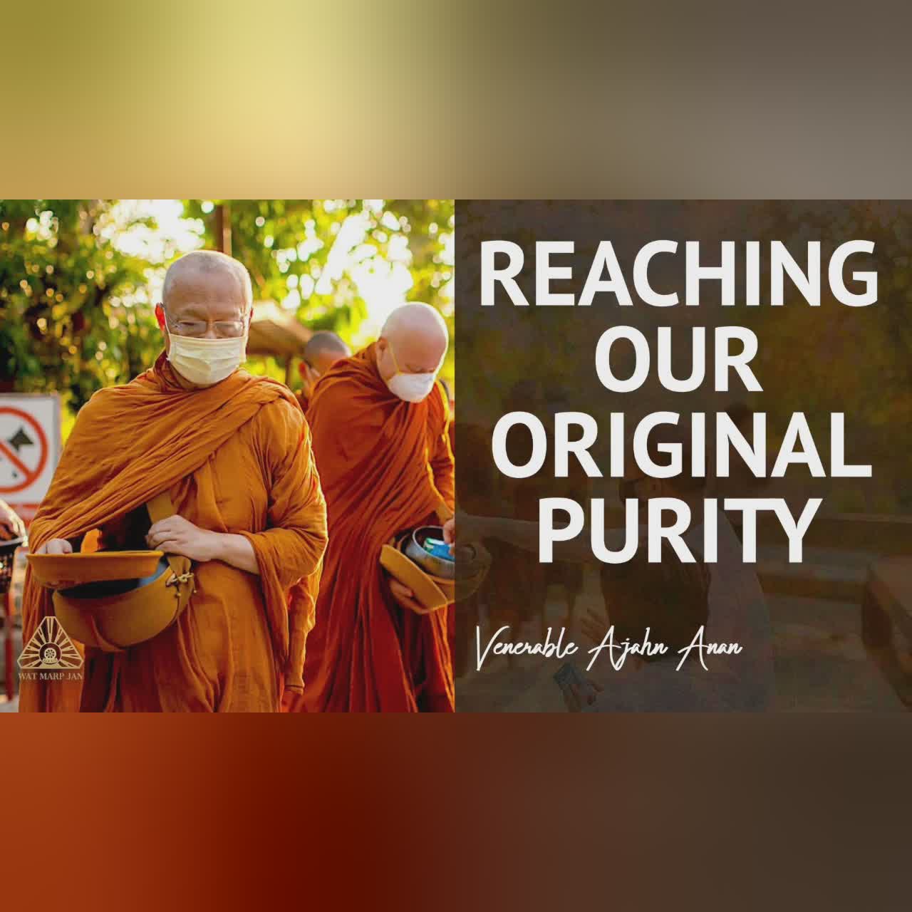 Reaching Our Original Purity | Ajahn Anan | 15 Apr 2020