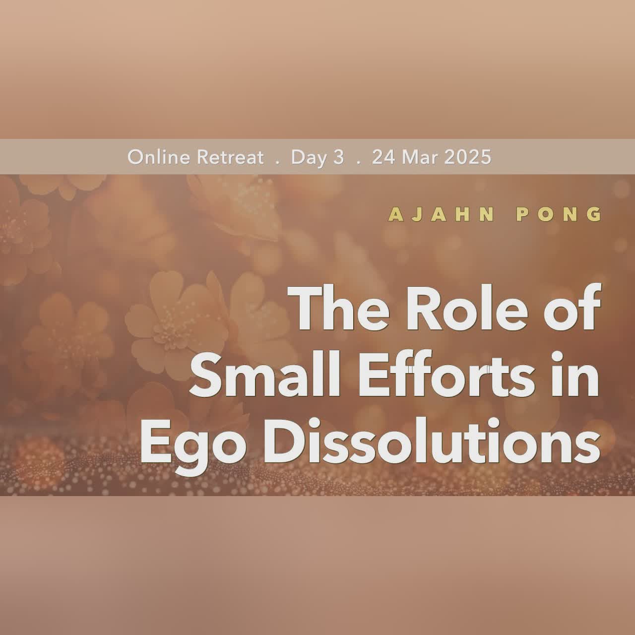 The Role of Small Efforts in Ego Dissolutions | Retreat Mar 2025 | Ajahn Pong