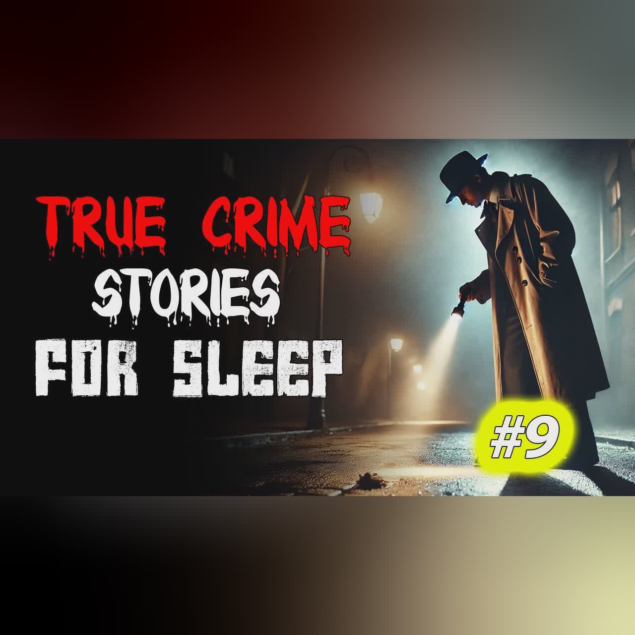 True crime Stories Told to the Sound of Rain | Relax and Fall Asleep Quickly Vol. 9 l Black Screen