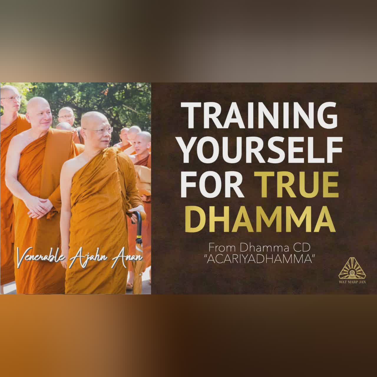 ACARIYADHAMMA: Training Yourself For True Dhamma | Ajahn Anan