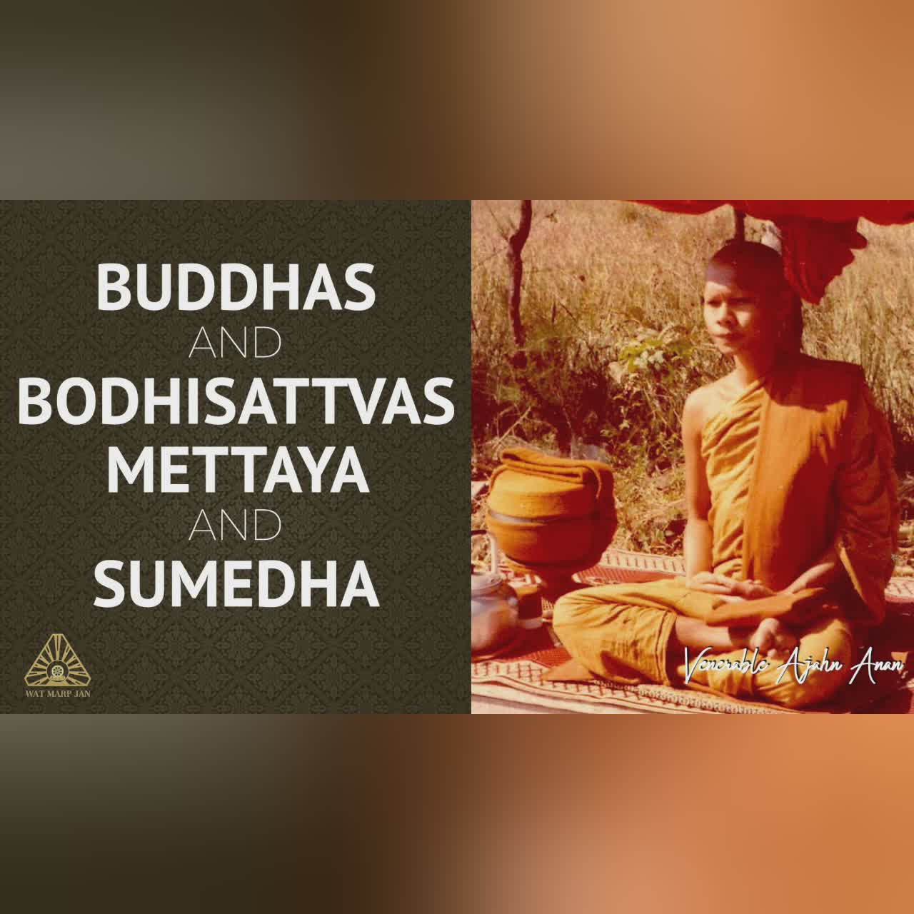 Shutting Down the Factory of Ignorance | Ajahn Anan | 01 Aug 2021