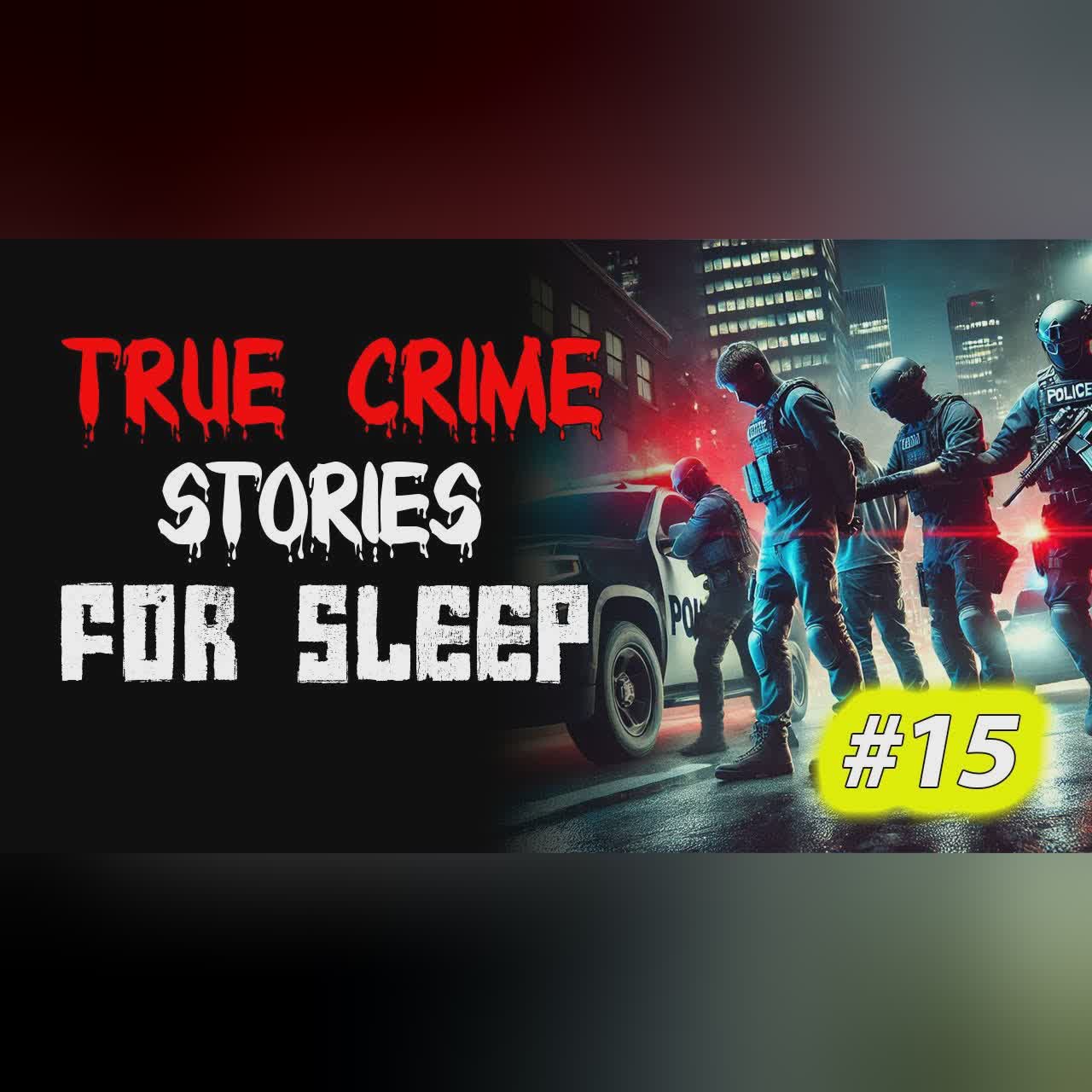 True crime Stories Told to the Sound of Rain | Relax and Fall Asleep Quickly Vol. 15 l Black Screen