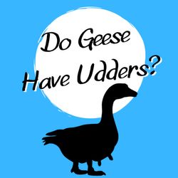 Episode 64 - Who Do You Think's Who?