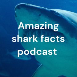 Episode 16 the basking shark