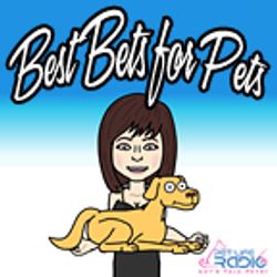 Best Bets for Pets- Introducing... Who, When, Wow!