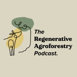 The Podcast Introduction