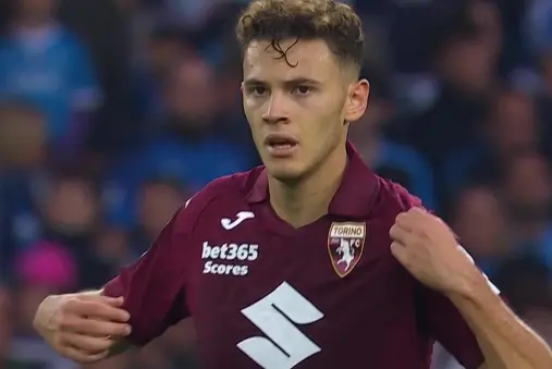 Torino VS Napoli Highlight
