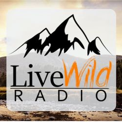 Ep. 80: Solo Adventuring