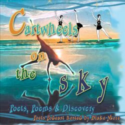 Dan Roberts on Cartwheels on the Sky