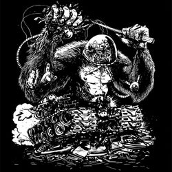 241_Dan WIlding-Carcass