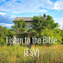 John Chapter 4 (ESV) Bible Reading
