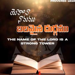 Telugu Bible Verses || ACA CREATIONS