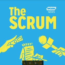 Will Wu's Mass And Cass Plan Work?
