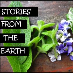 #5 Stories From The Earth - Interview with Benjamin Kitchen