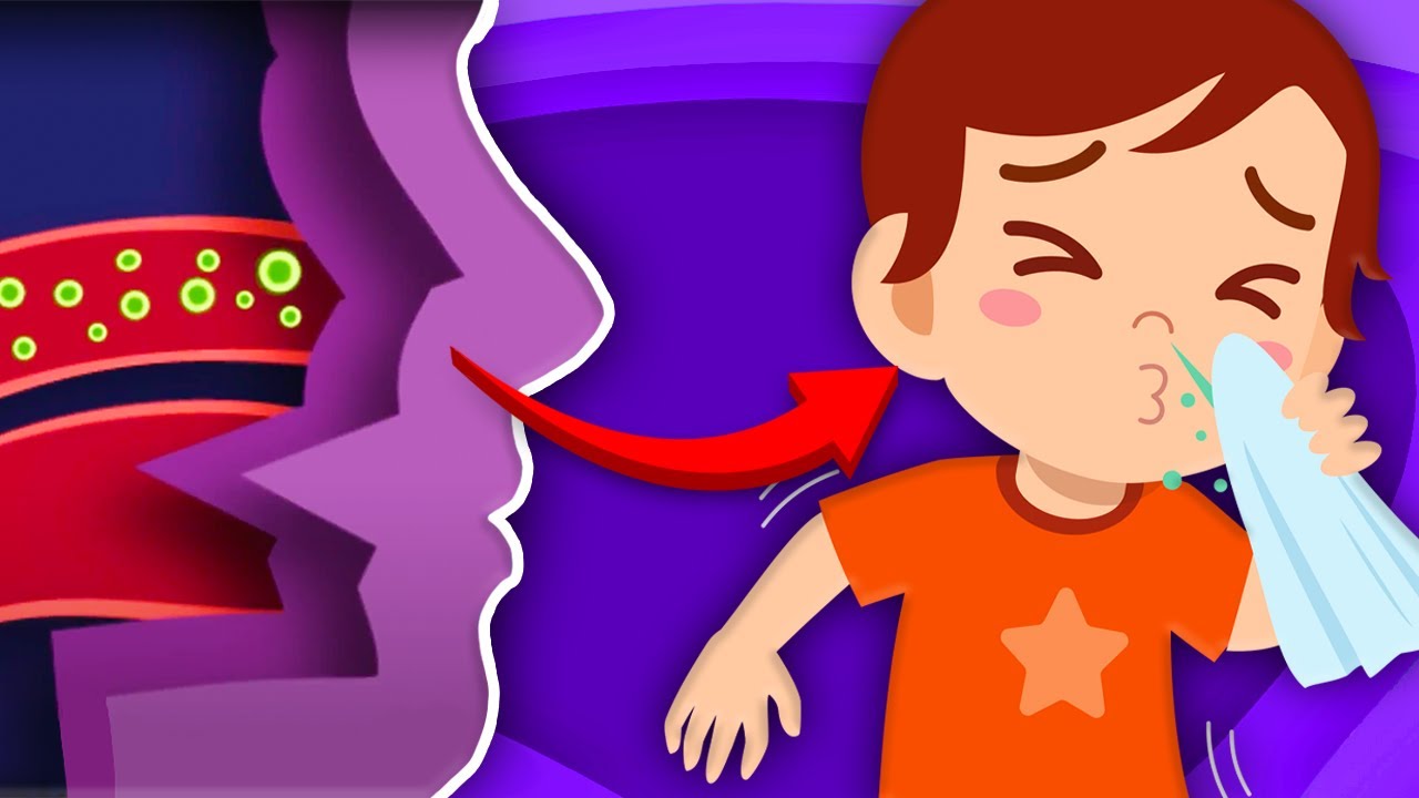 Learn Why We Sneeze! | Human Body Songs For Kids | KLT