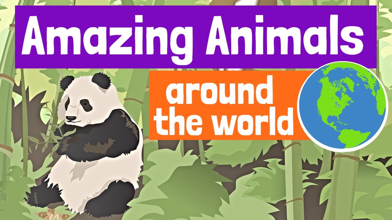 Amazing Animals Around the World for Kids