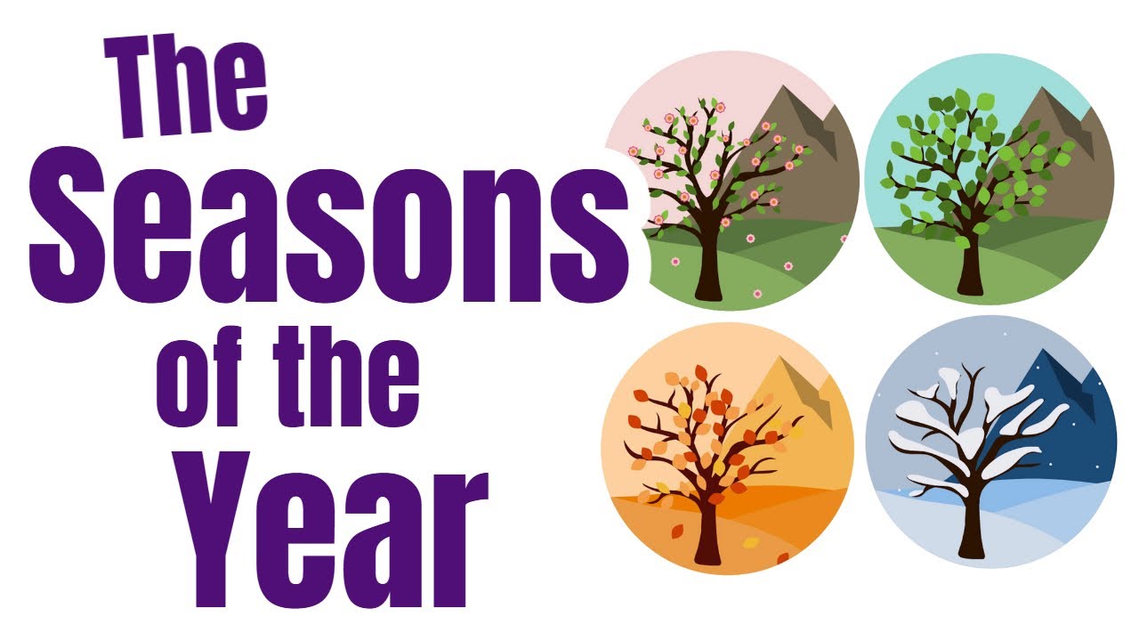 Seasons of the Year for Kids | Homeschool Pop