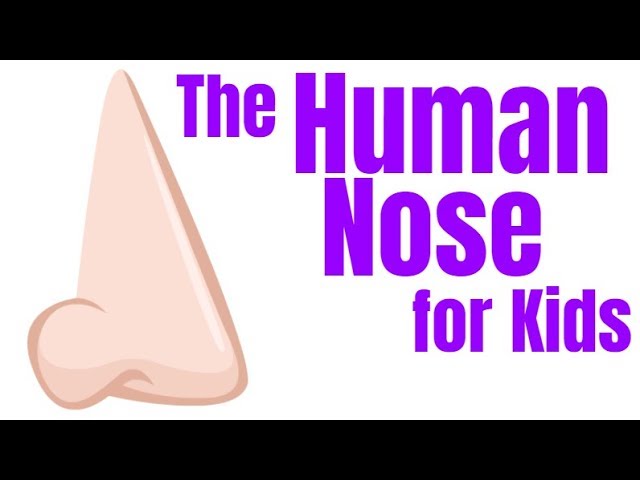 The Human Nose for Kids