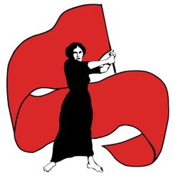 Why do socialists focus on the working class?
