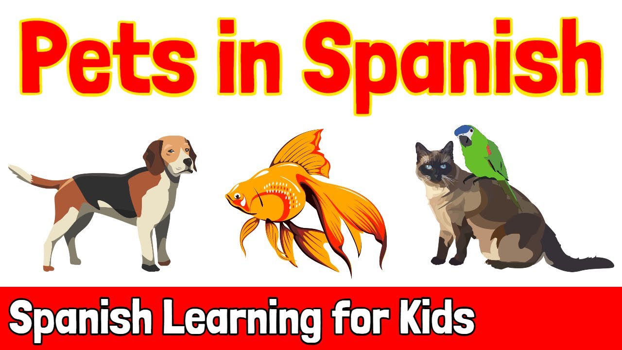 Pets in Spanish | Spanish Learning for Kids