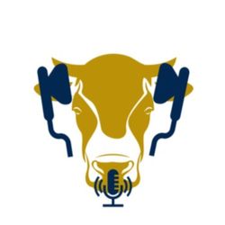 CCP#059 – Research call with Steve Loerch - Program Feeding Beef Cattle