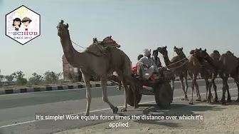 GRADE 8 PHYSICS: Relationship of Force, Motion & Work