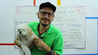 História - República Liberal Populista:  Entre Vargas e JK (1954-1956)