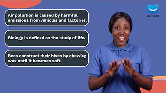 Language Feature of Informative Writing