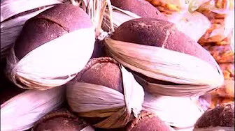 Cultivation of Brown Sugar seg4 | Bio Agro