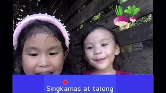 Bahay Kubo | Vegetables in Filipino