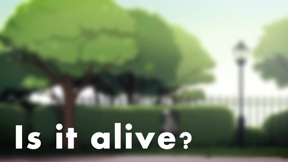 S3E1 Dead, living and non-living