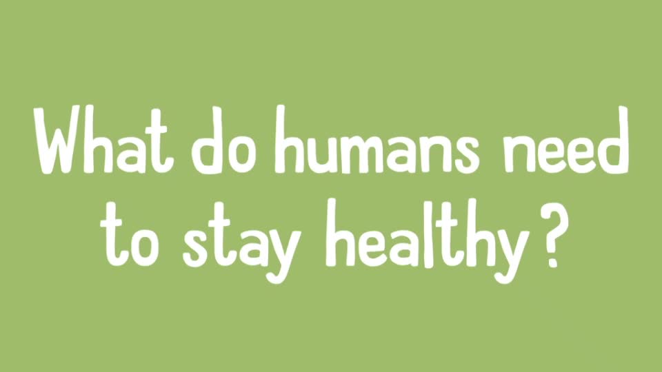 S1E11 What do humans need to be healthy?