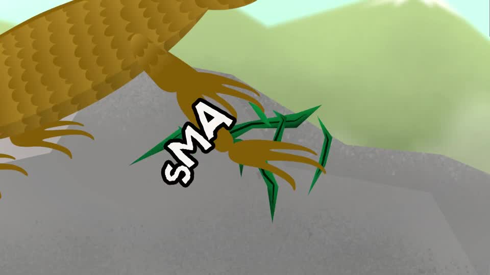 S1E5 What are reptiles?