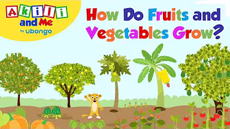 How do Fruits and Vegetables Grow?! | Read with Akili and Me | Educational Cartoons for Preschoolers