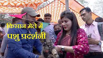 पशु प्रदर्शनी || किसान मेले में आया देसी गाय और विदेशी बिल्ली भी