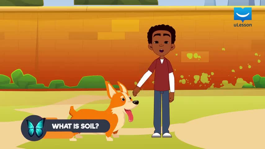 What is Soil?