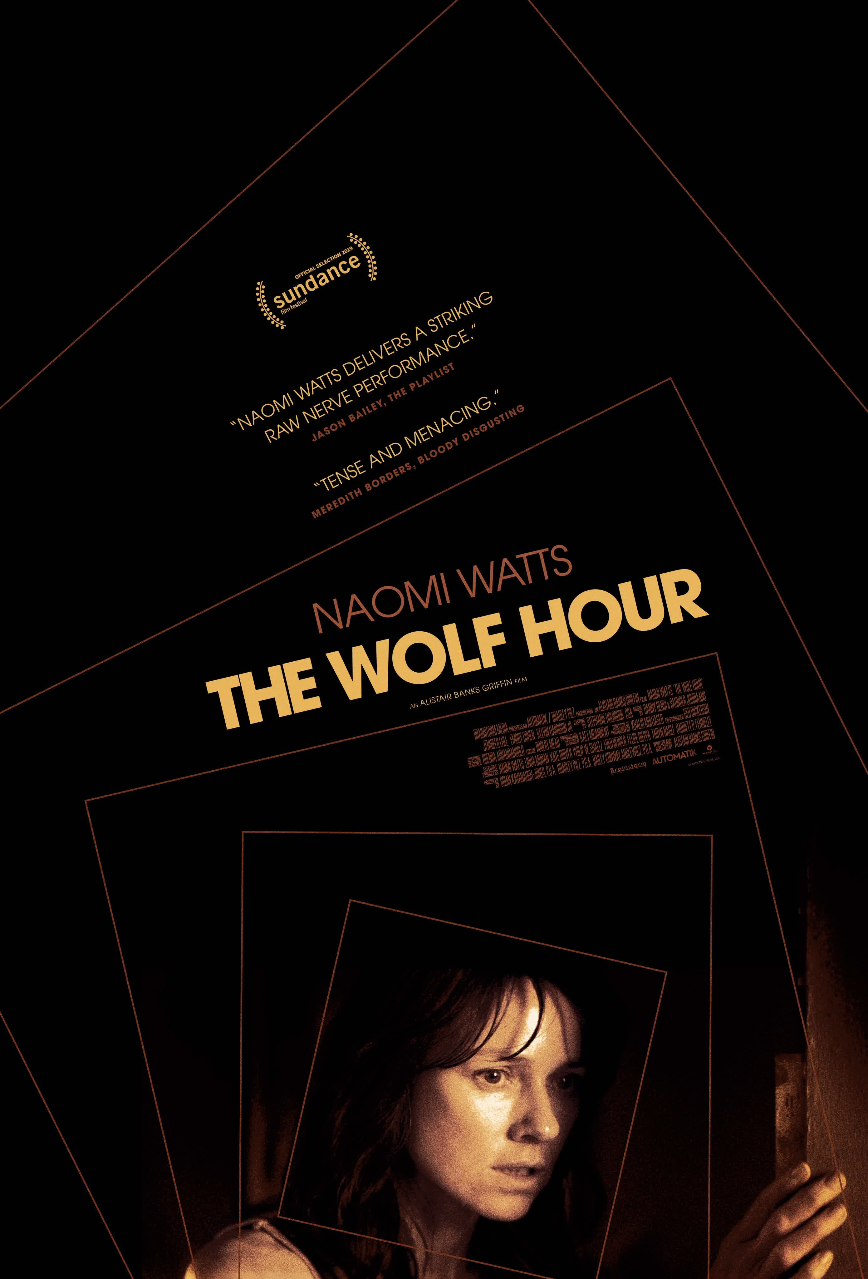 The Wolf Hour [Hindi]