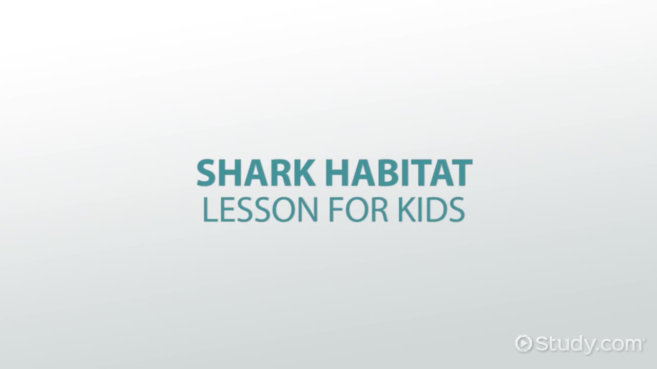 Shark Habitat: Lesson for Kids