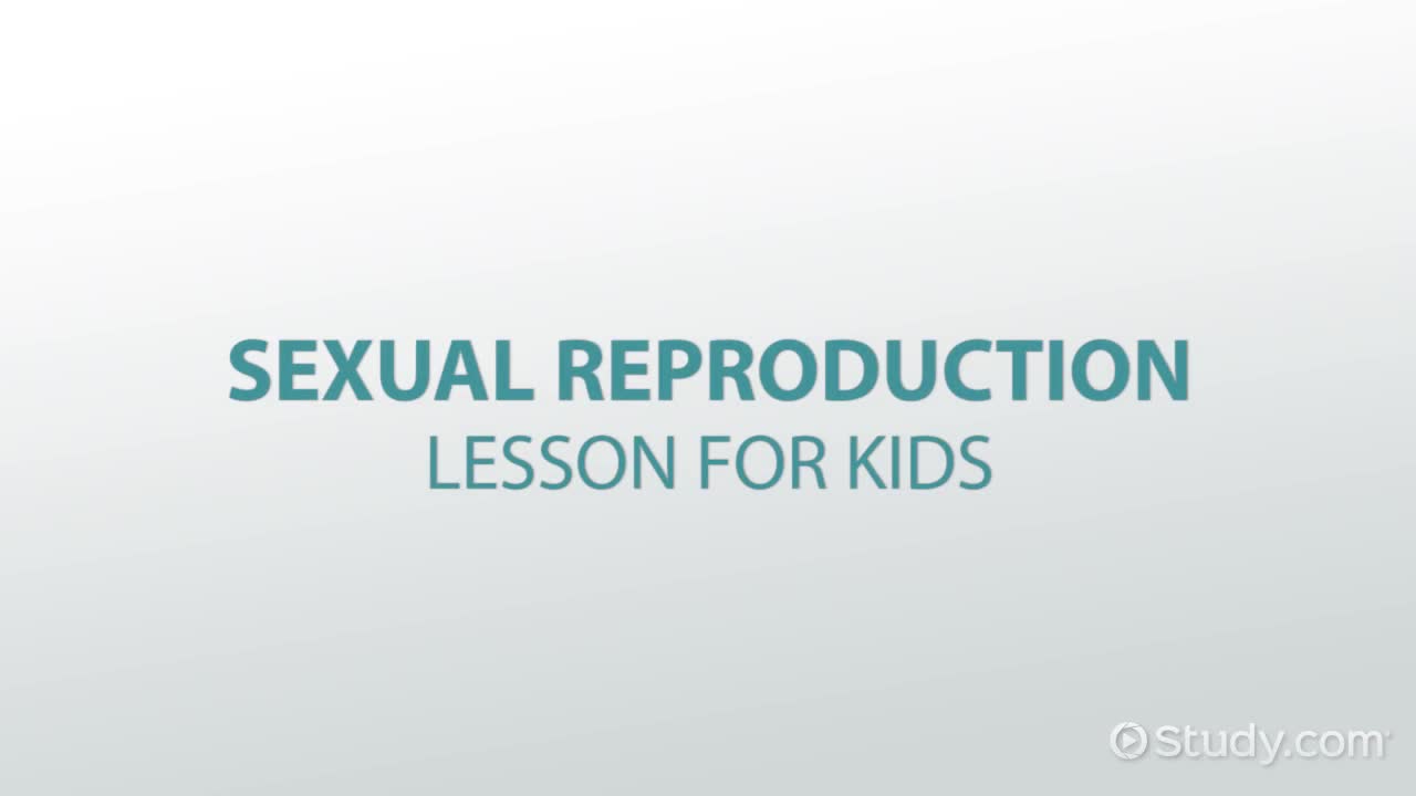 Sexual Reproduction Lesson for Kids