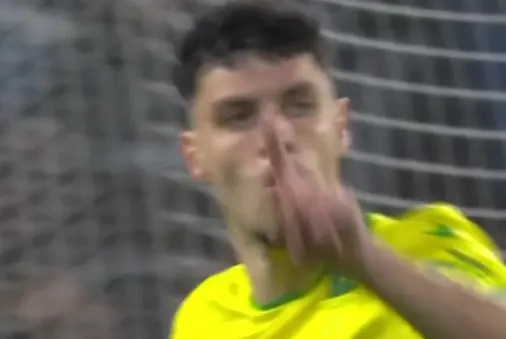 Le Havre VS Nantes Highlight