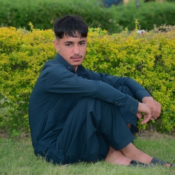author avatar