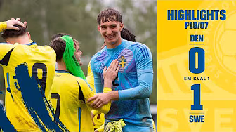 Highlights P18/07 | Danmark-Sverige 0-1 | EM-kval 1