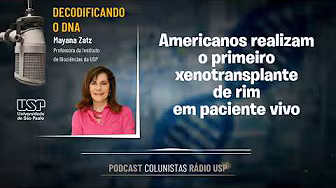 Americanos realizam o primeiro xenotransplante de rim em paciente vivo
